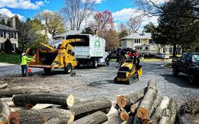 Best Tree Preservation Services  in Yadkinville, NC